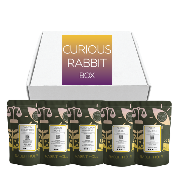 The Curious Rabbit Box